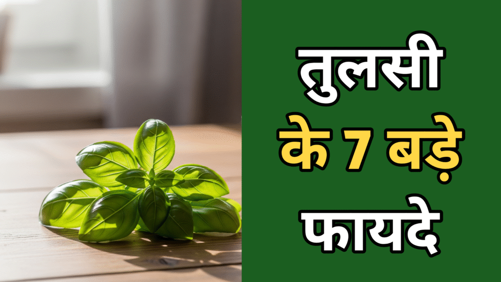 Tulsi ke fayde