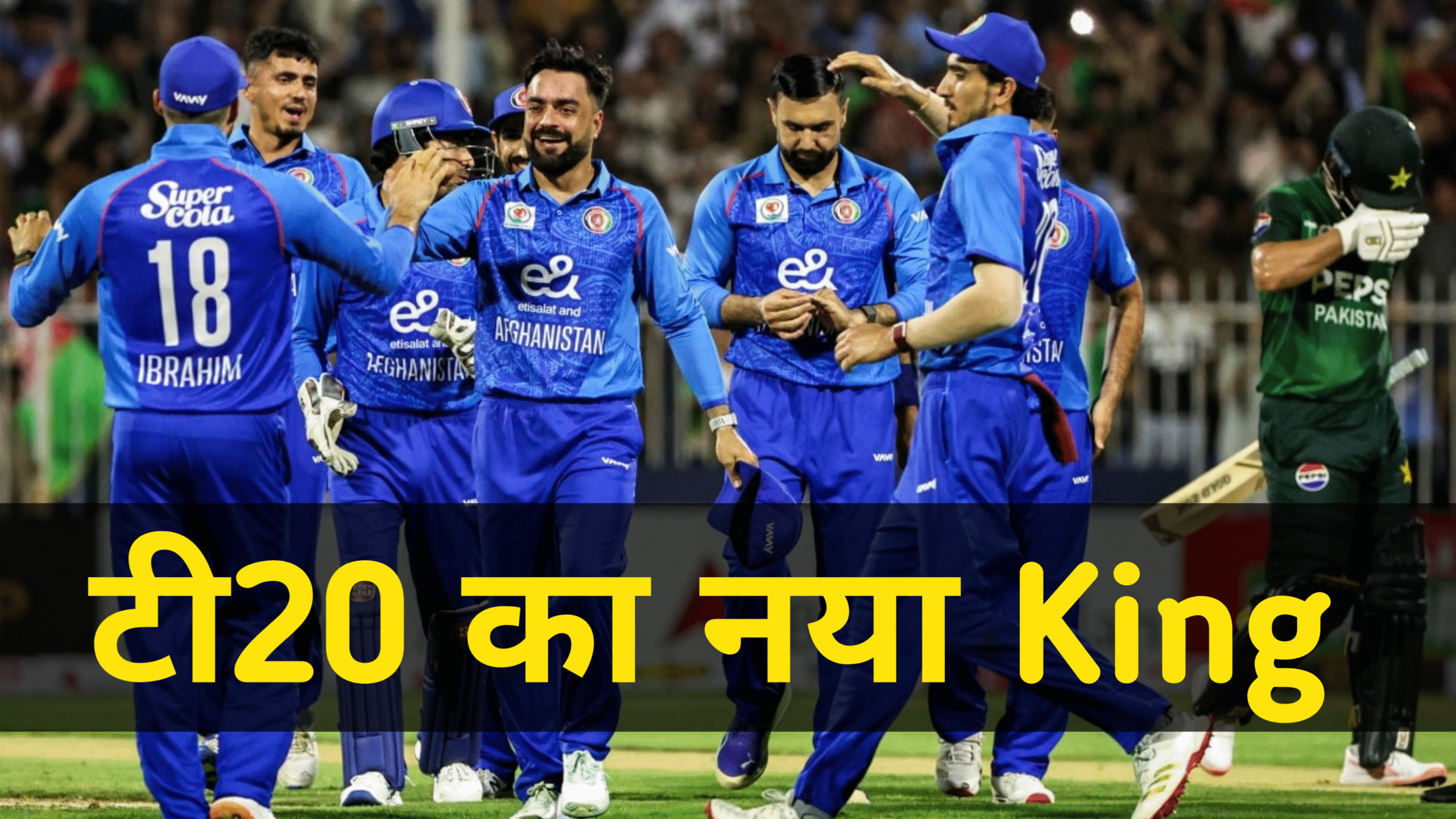 Most wickets in T20